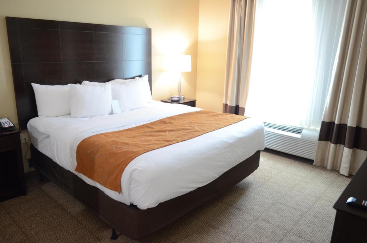 King Suite Sofa Bed Disability Access or Non-Smoking