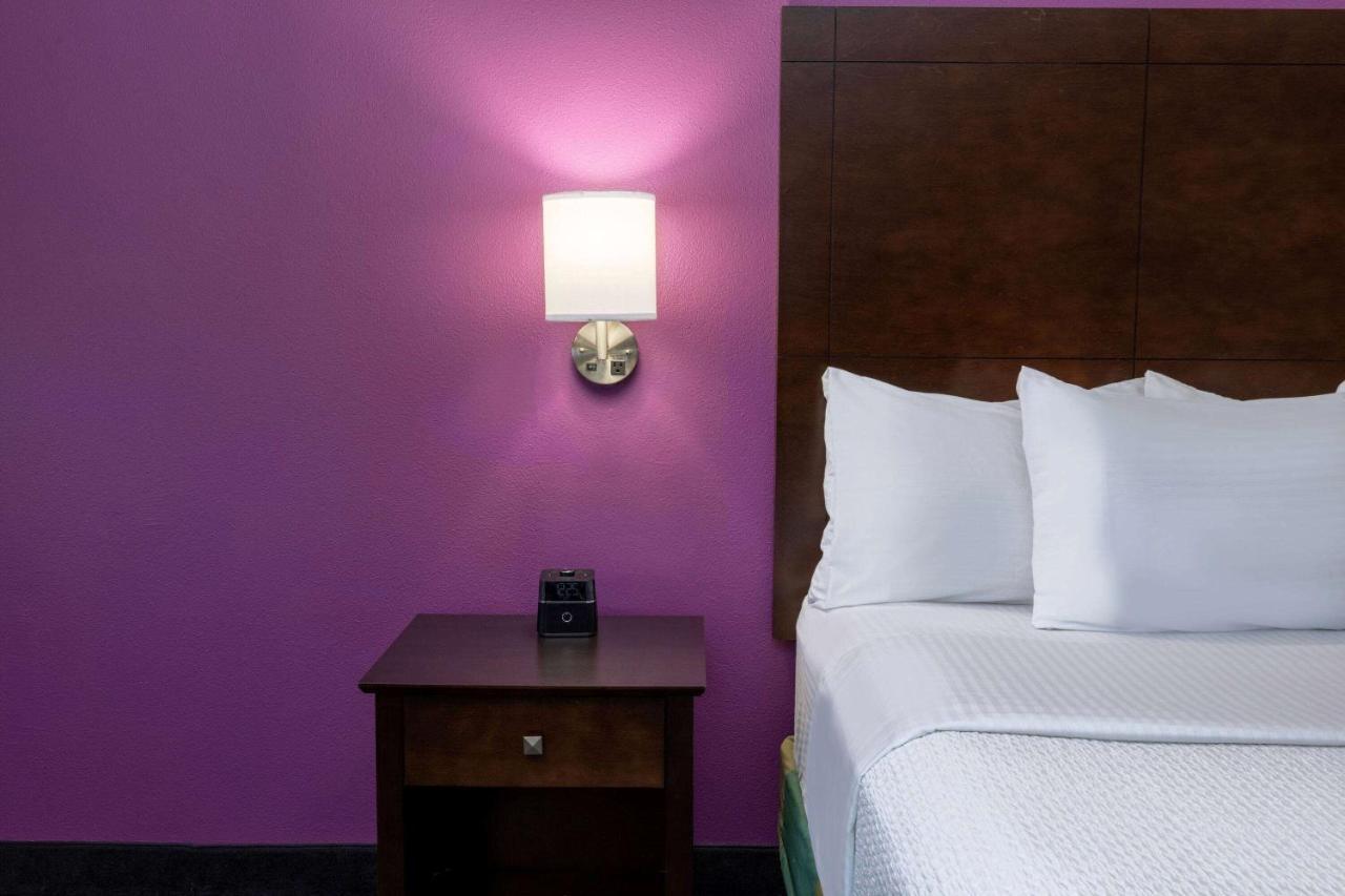 Kamer met Kingsize Bed