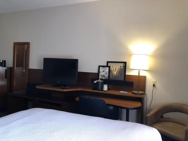 Suite met Kingsize Bed