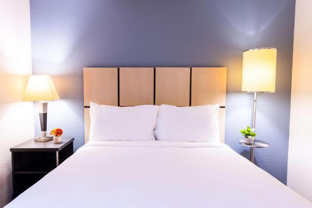 1 King Bed
