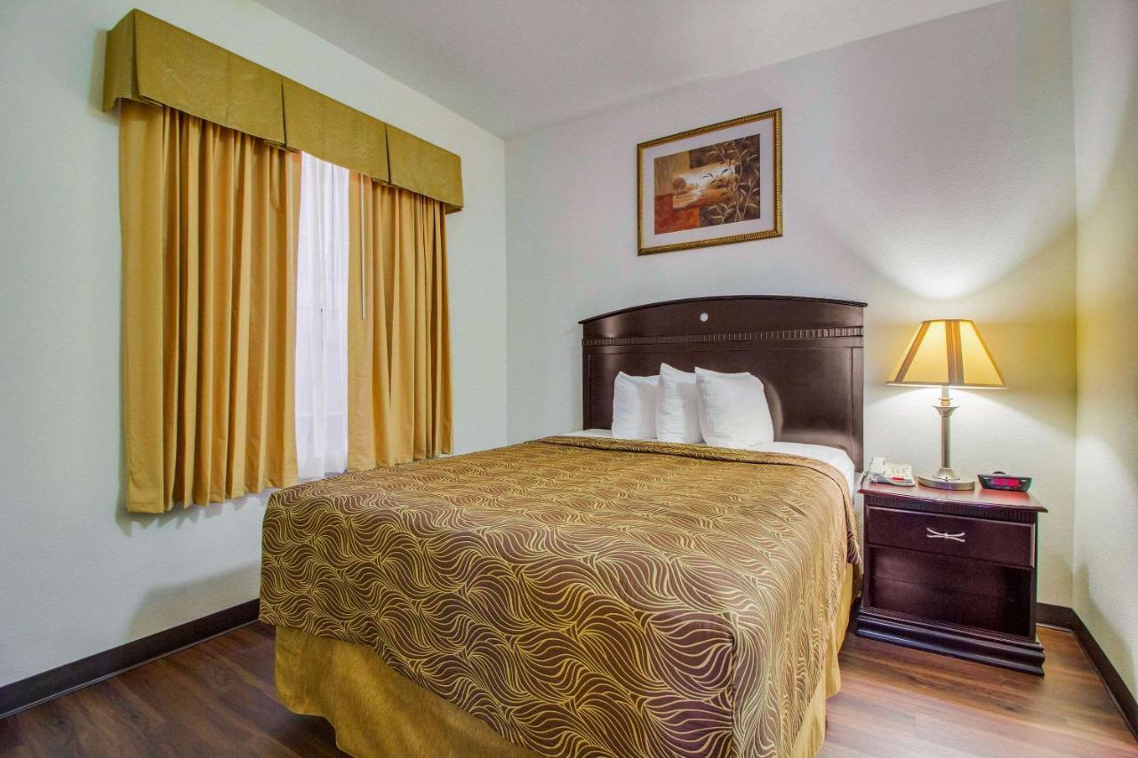 Suite Doble con sofá cama - No fumadores - Cama grande