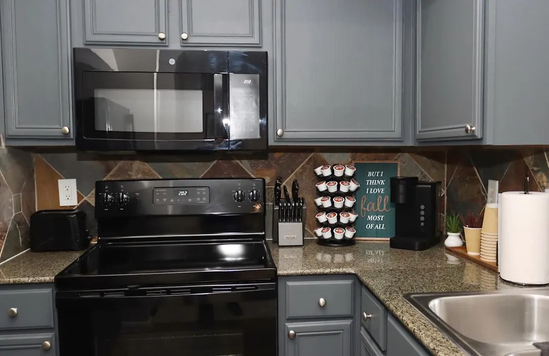 Lovely Texas Medical Center 1 Bedroom Luxury Suite-1