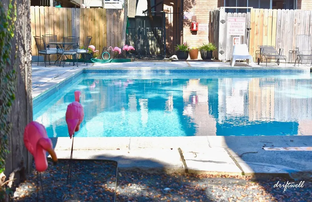 Museum District Communal Pool Walk To Everything-1