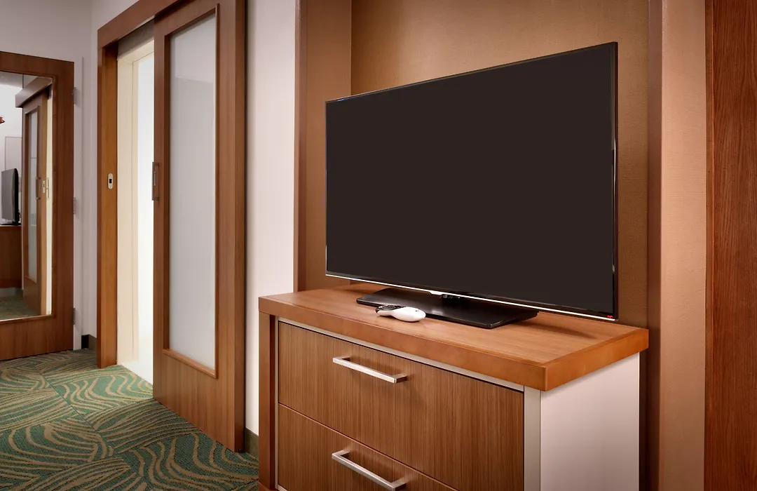 Springhill Suites By Marriott Houston I-45 North-1