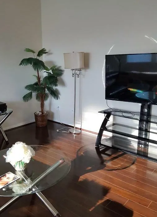 Luxury Home-1
