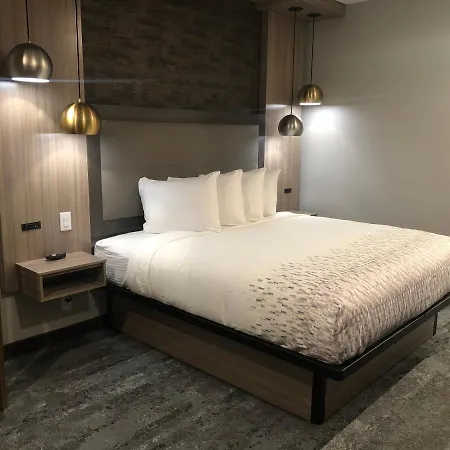 Hotel Solara I-45 & Hobby Airport Houston-3