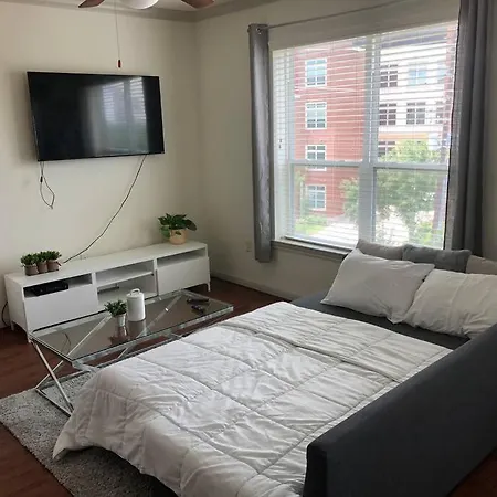 Cozy 2Br2Ba Nrg/Medcenter Apt Free Parking &Wifi-2