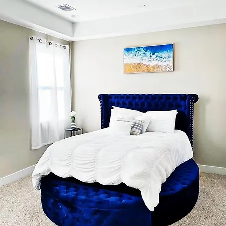 Modern Style Relaxation In Houston, Texas-2