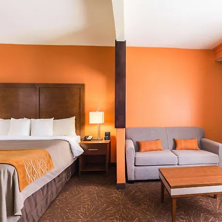 Econo Lodge Inn & Suites East Houston I-10-3