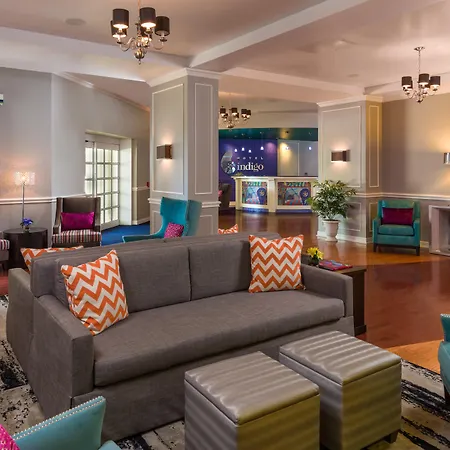 Hotel Indigo Houston At The Galleria, An Ihg Hotel-3