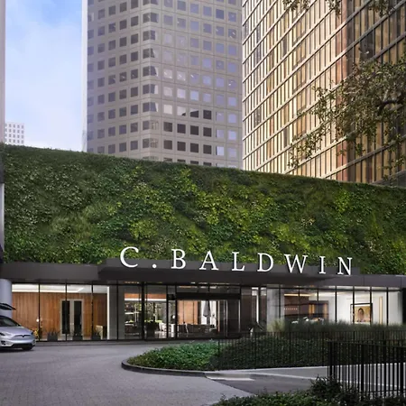 C. Baldwin, Curio Collection By Hilton-2