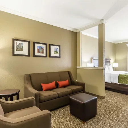 Comfort Suites Houston Iah Airport - Beltway 8-3