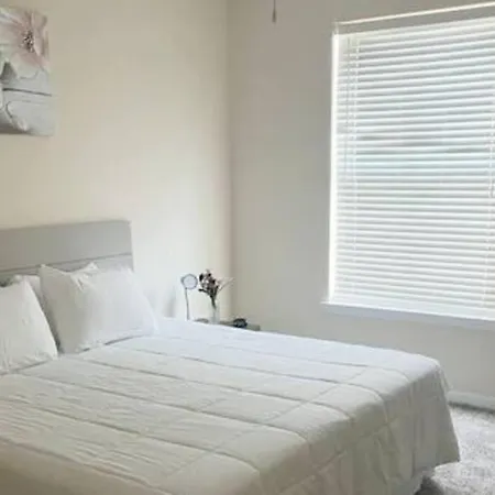Gorgeous 2 Bedroom 2Bt Apartment Home Patio And Rental Car Available-2