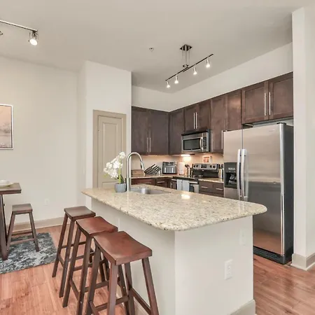 Fully Furnished Med Center Apt By Nrg Stadium-3