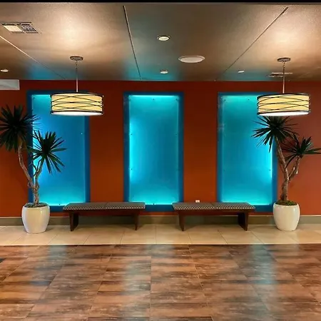 Luxury 1 Bedroom Near Medical Center And Nrg-3