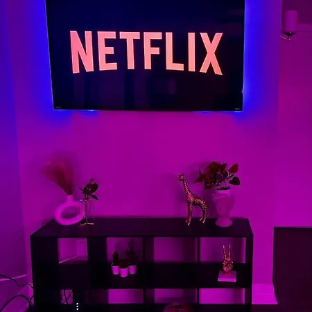 Cozy Houston Getaway 1 Bed 1 Bath-2