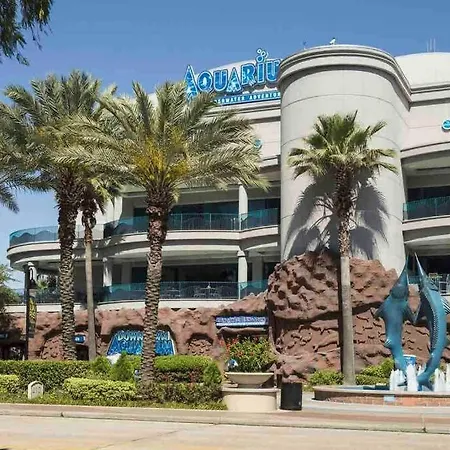 Luxcation At Med Center Free Parking & Wifi-2