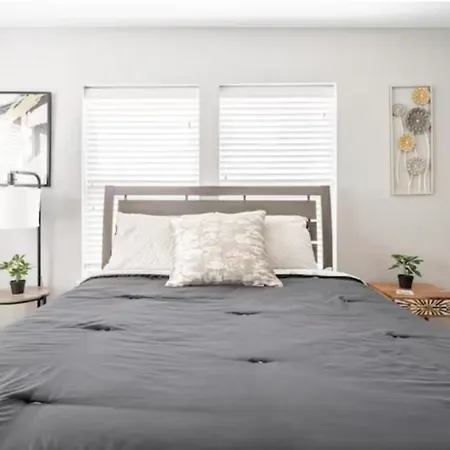 Texas Cozy Abode-3