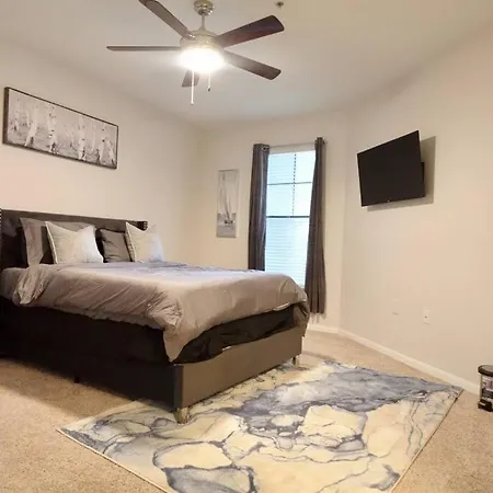 Lavish Cozy 1Bedroom By Nrg Med Center-2