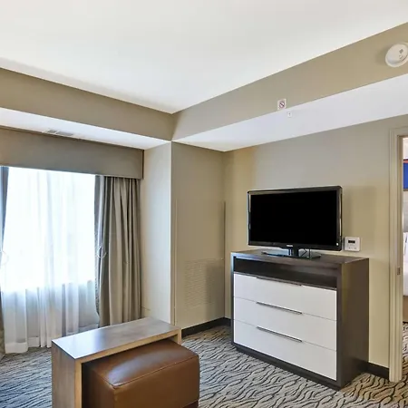Homewood Suites By Hilton Houston Near The Galleria-3