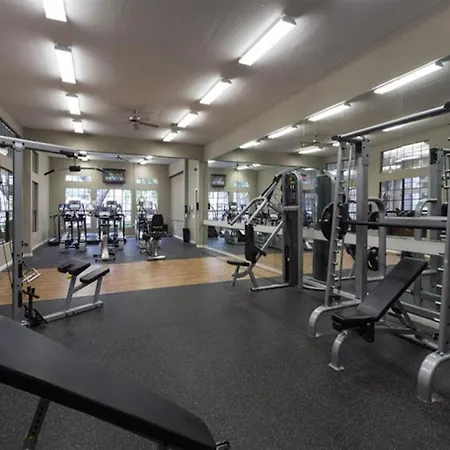 Amazing Houston Apartment With Pool+ Fast Internet-3