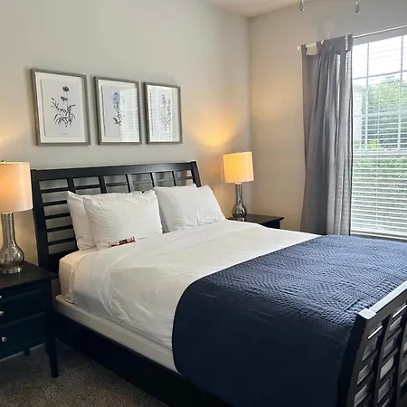 Hidden Gem At Med Center 2Br & 2Ba Apartment-3