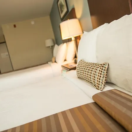 Spark By Hilton Houston Bush Intercontinental Airport-3
