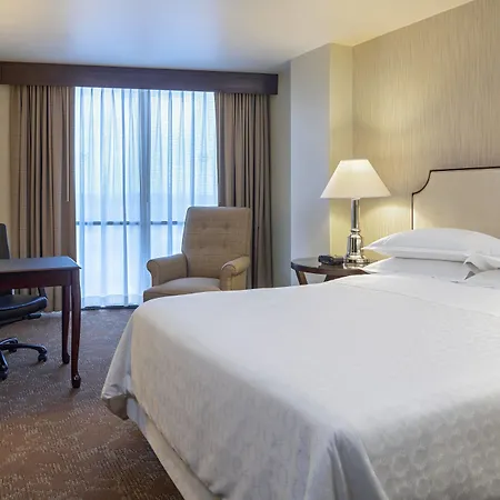 Sheraton Houston Brookhollow Hotel-2