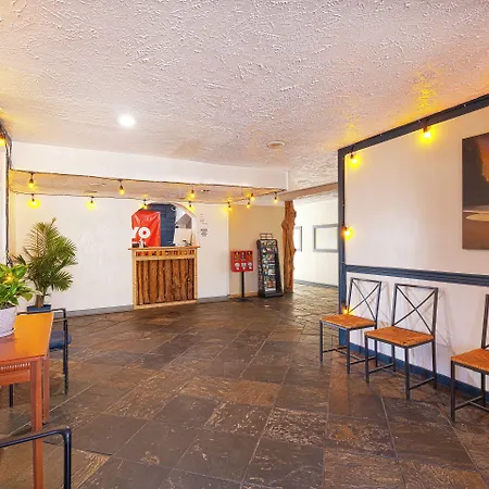 Oyo Hotel Houston, Tx Near Medical Center Nrg Stadium-3