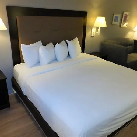 Red Roof Inn Houston - Jersey Village-3