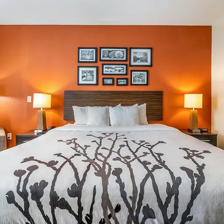 Restwell Inn & Suites I-45 North-2