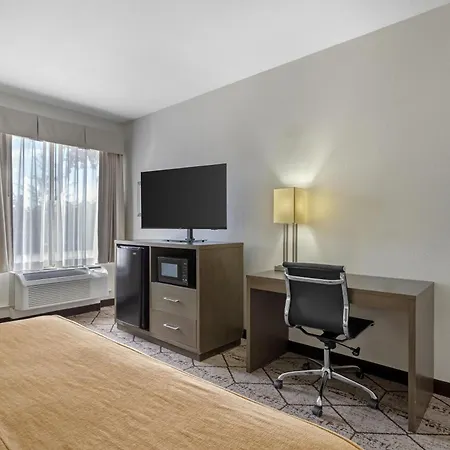 Best Western Plus North Houston Inn & Suites-2