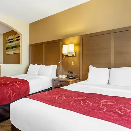 Comfort Suites Bush Intercontinental Airport-2