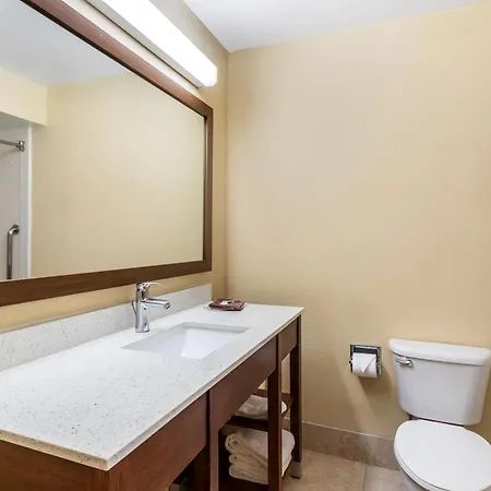 Comfort Suites Bush Intercontinental Airport-3