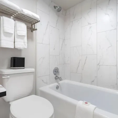 Heights House Hotel - Houston Heights Downtown, An Ascend Collection Hotel-3