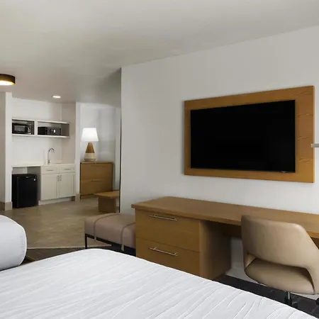 Best Western Premier Houston Downtown/Convention Center Hotel-2