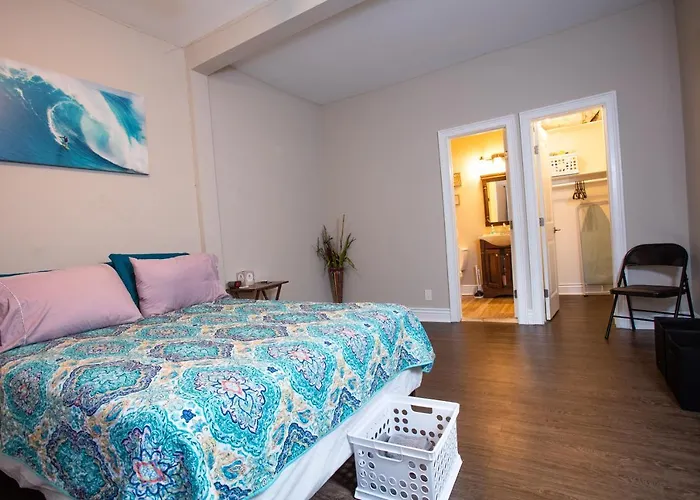 Cozy Studio In The Downtown/Montrose Area Apartment Houston