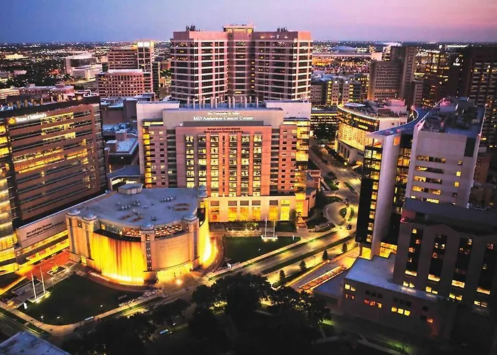 Luxury One Bedroom Located By Med Center/Nrg Houston