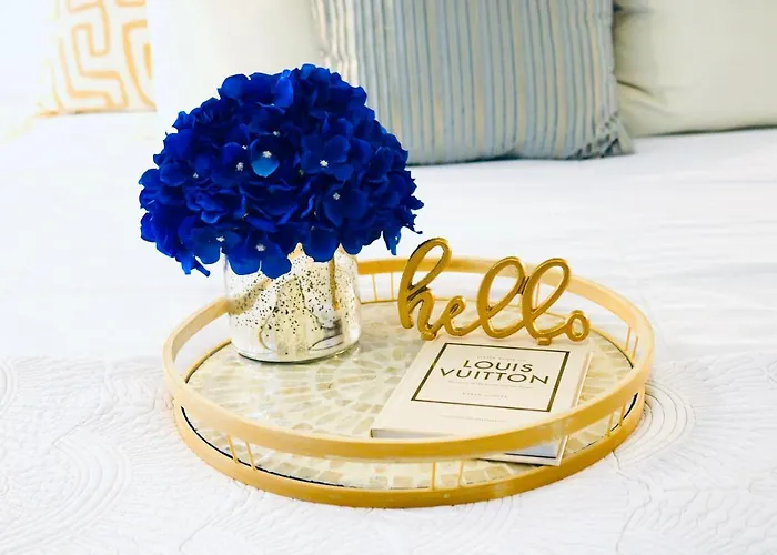 Houston Luxury Studio II Apartamento admite animales