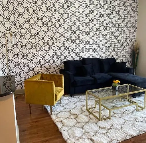 Luxury 1 Bedroom Near Medical Center And Nrg Houston acceptant les animaux