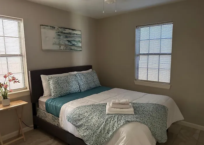 Luxury Houston 2 Bedroom Near Tmc, Downtown, Museum District, Galleria, Medical Center