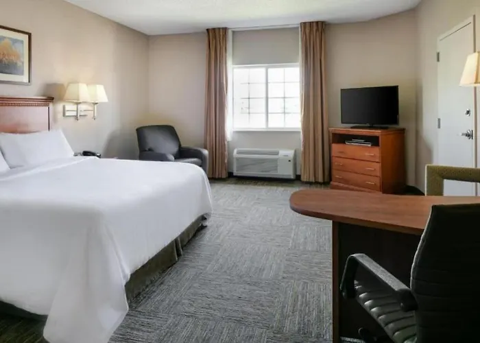 Simply Studio Living With Pool Access - 200 Apartment Houston