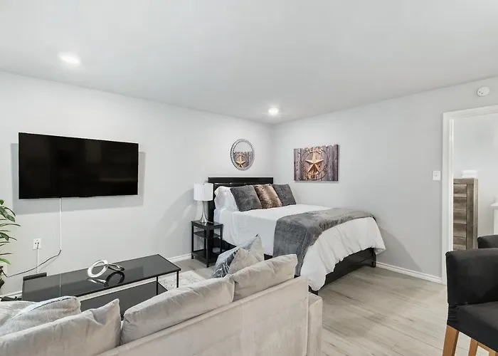 Pool Apt Close To Med Ctr Nrg Downtown