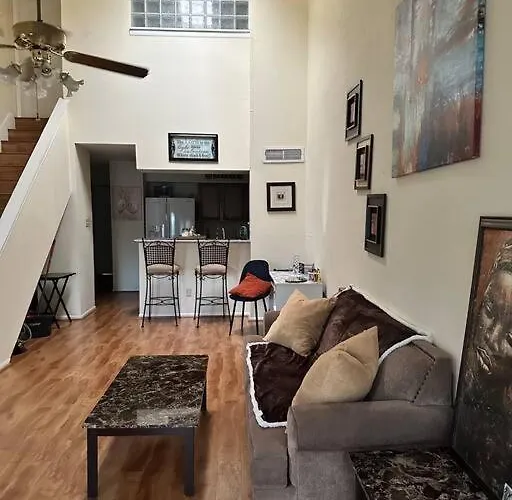 1 Bedroom Beautiful Condo Houston