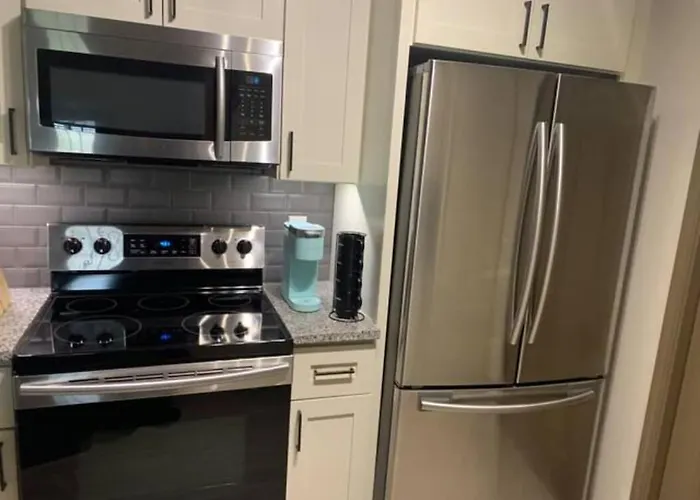 Nrg Stadium/Med Center Lovely 1Bed/1Bath Houston