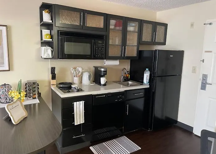 Luxurious Escape Free Parking Apartamento Houston que aceita animais de estimação