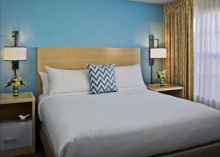Pet friendly Clear Lake Nasa Galveston Getaway Houston