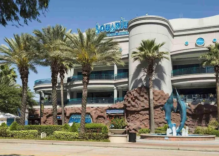 Luxcozy Apt-Medcenter-Hobbyairport-Free Parking