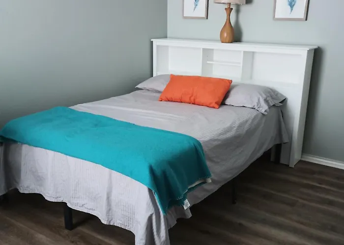 Huisdiervriedelijke Specious Room In A Specious And Quiet House Houston