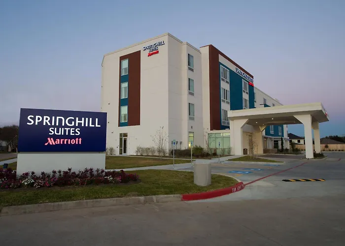 Springhill Suites By Marriott Houston Hwy. 290/Nw Cypress admite animales